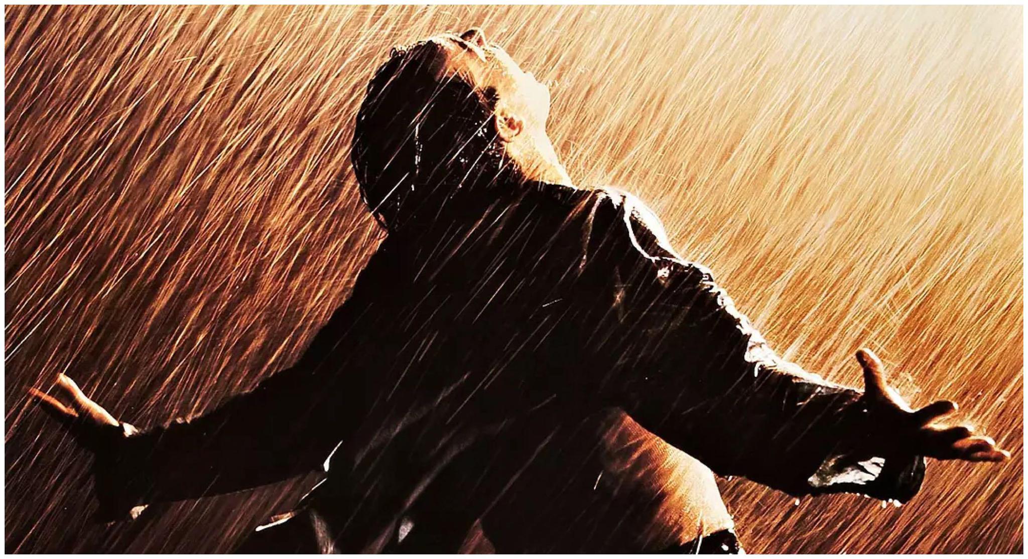 私藏片单｜这5部电影，每一部都值得反复刷